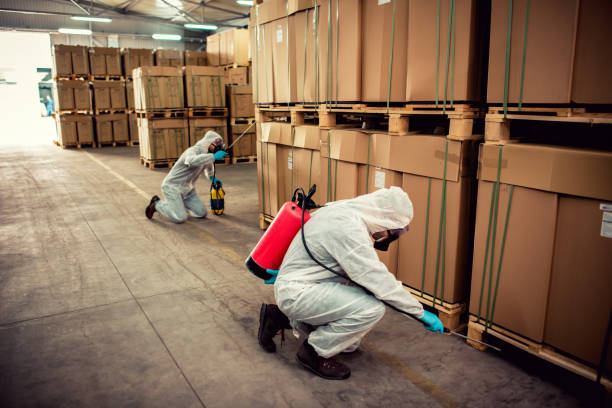 Best Affordable Pest Control Services  in Plano, TX