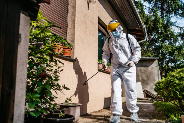 Wildlife Control Services in Plano, TX
