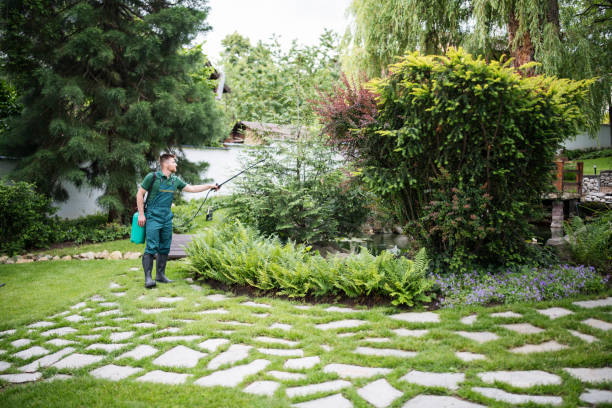 Best Best Pest Control Companies  in Plano, TX