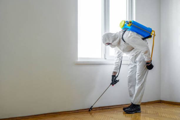 Plano, TX Pest Control Company