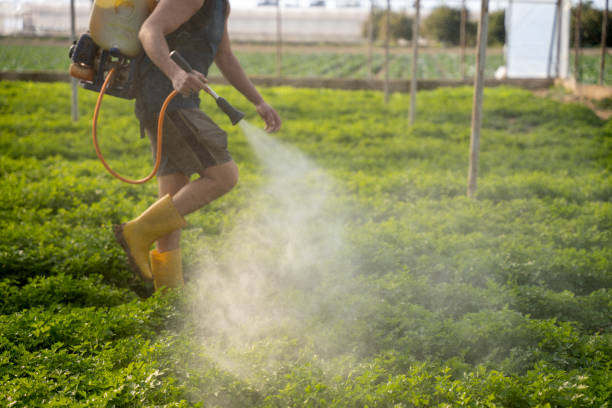 Best Best Pest Control Companies  in Plano, TX