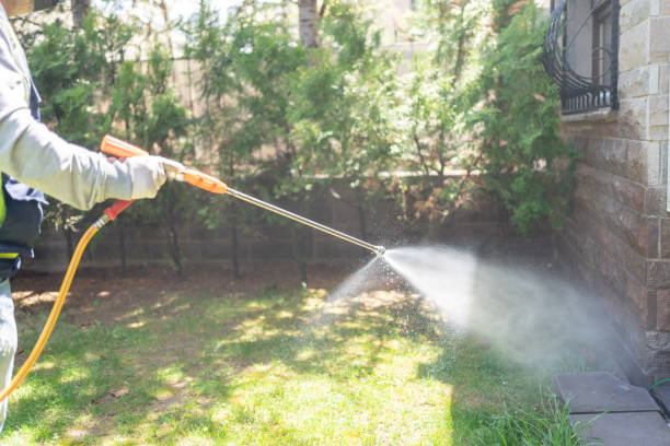 Best Pest Removal Services  in Plano, TX