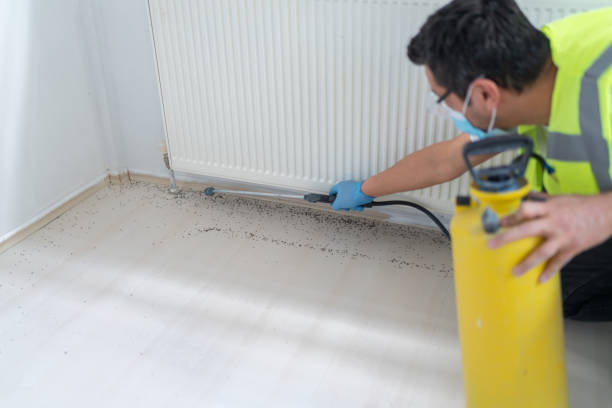 Best Pest Prevention Services  in Plano, TX