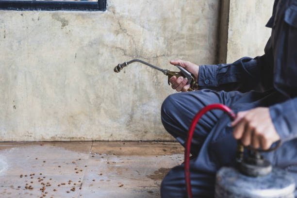 Best Pest Inspection Near Me  in Plano, TX