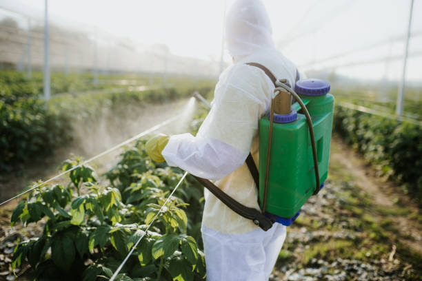 Best Mosquito Control Services  in Plano, TX